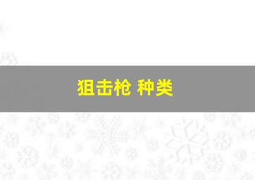 狙击枪 种类